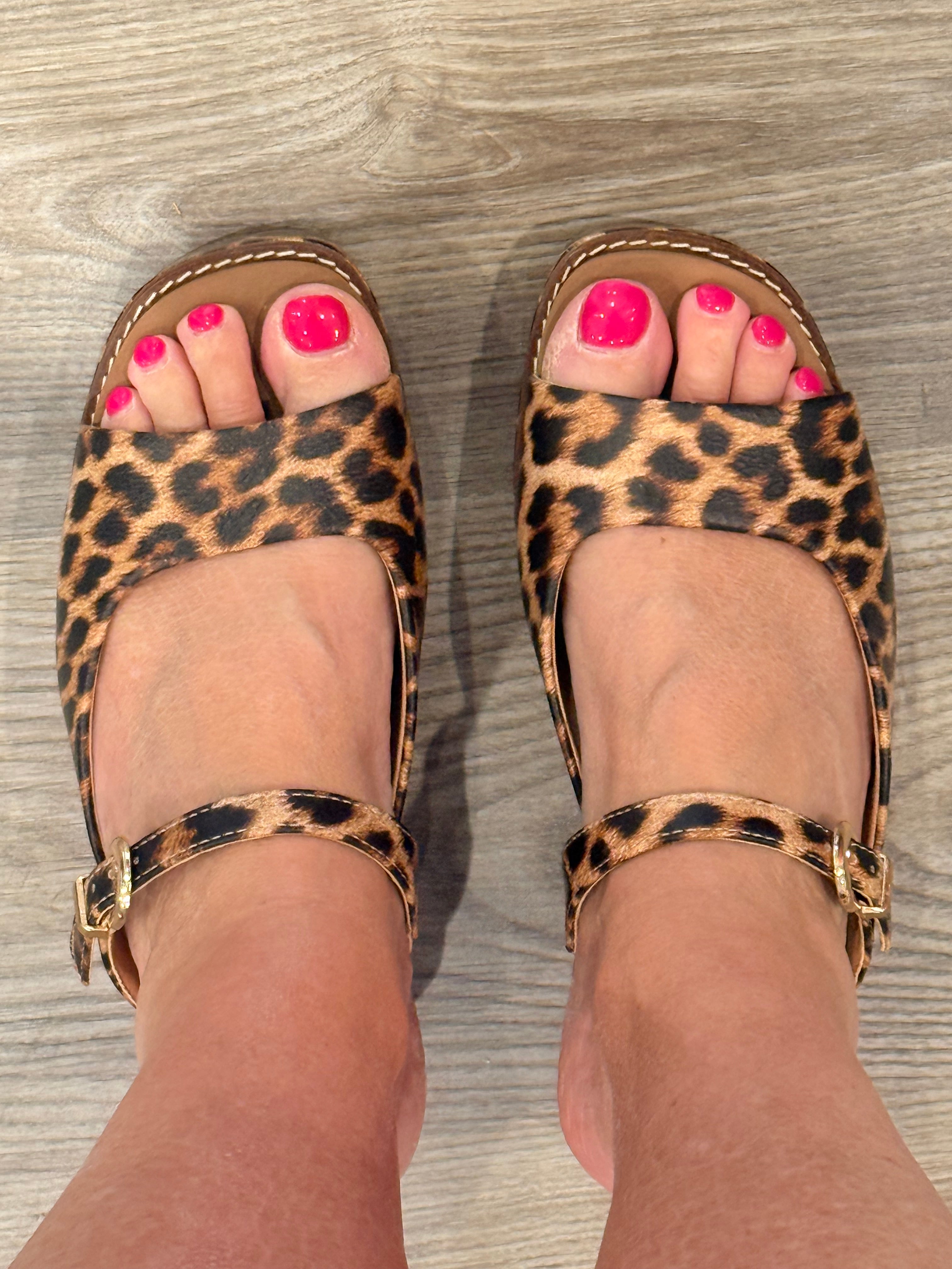 Corky's Treat Yourself Sandals in Leopard-How Cute is That? Boutique