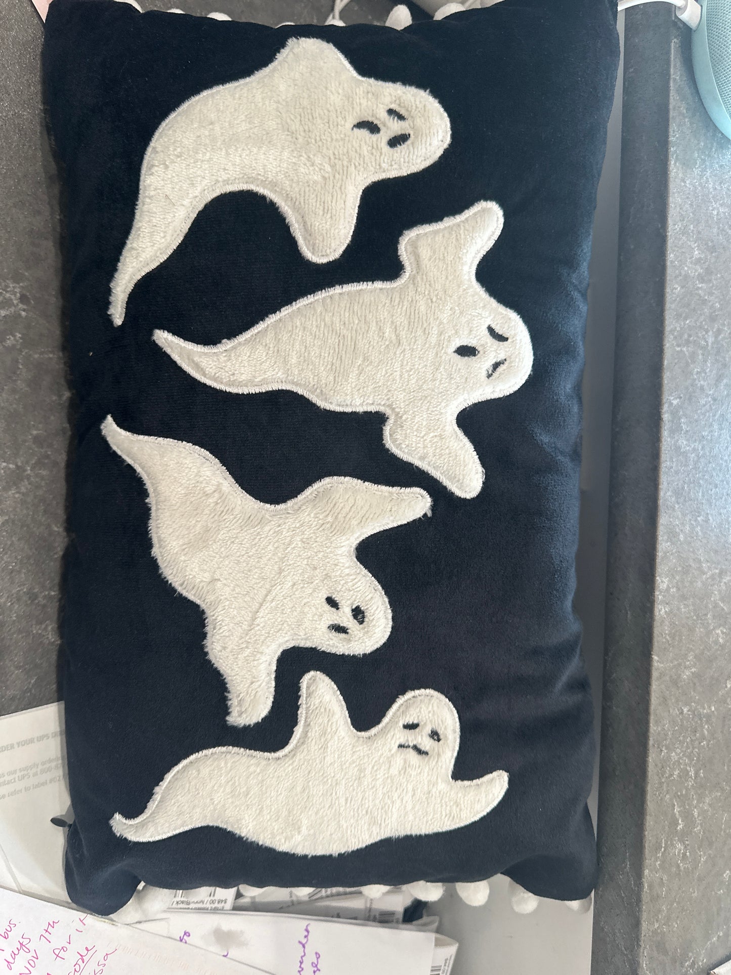 Ghost Velvet Pillow