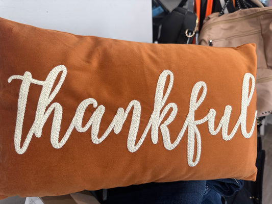 Thankful velvet Pillow