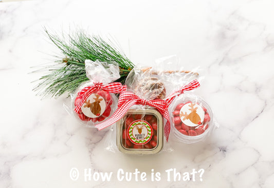 Rudolph Spare Noses- small tin