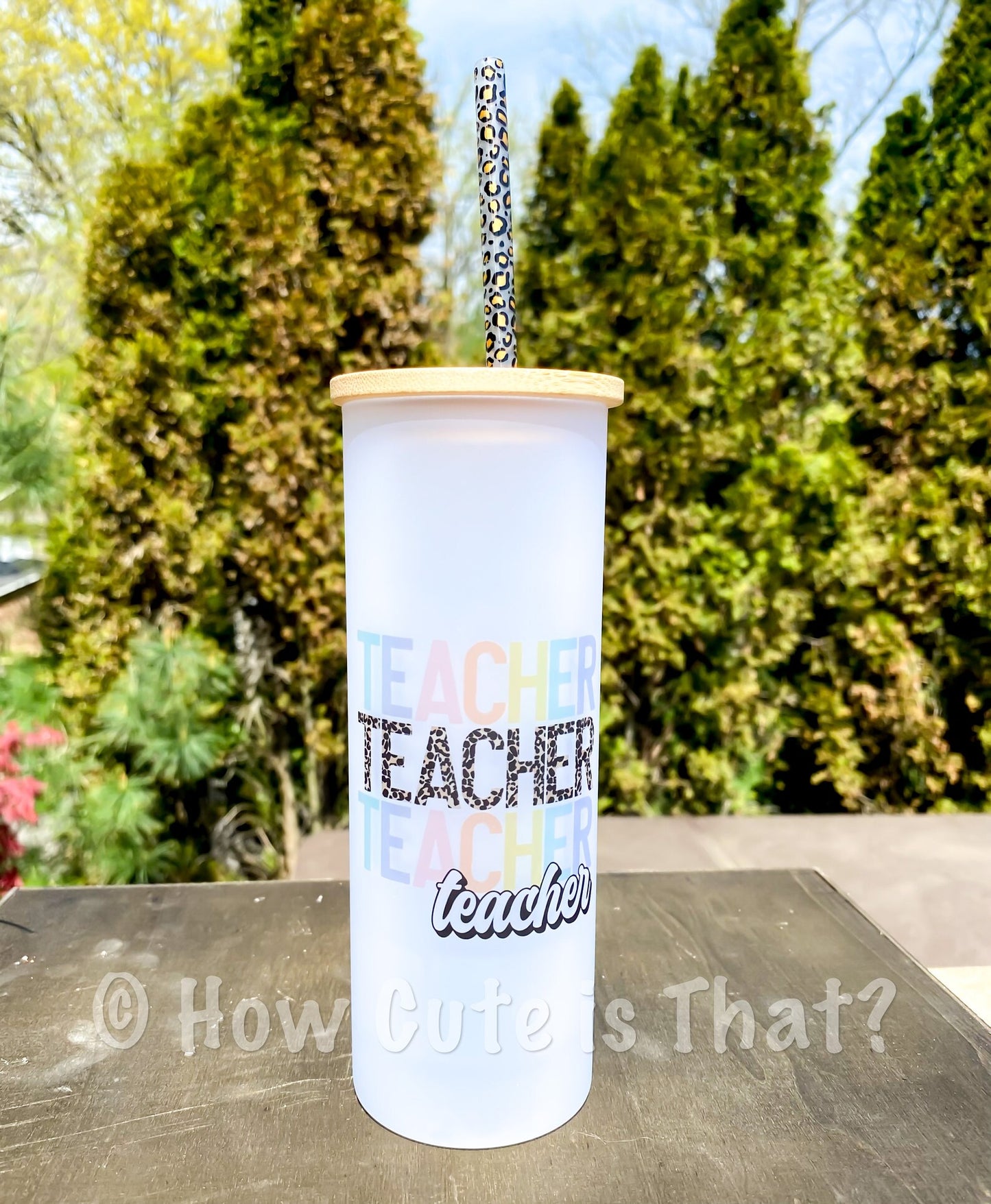 Teacher Teacher Teacher 17 oz Glass Tumbler